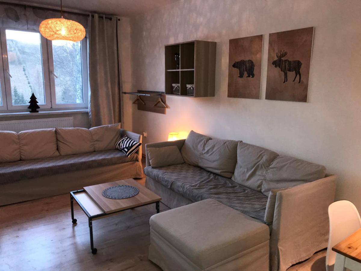 Apartman Orlicke Zahori Exterior foto
